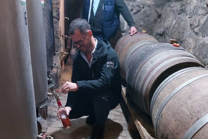 Wine Tasting in the Countryside from Budapest - Key points / Takeaways