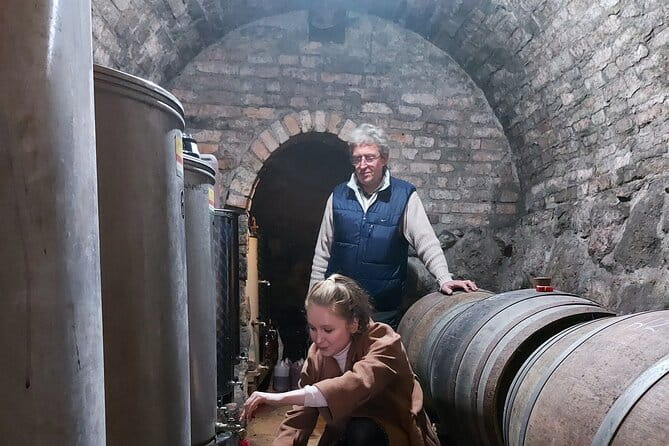 Wine Tasting in the Countryside from Budapest - Price & Logistics: Good Value for a Short Trip