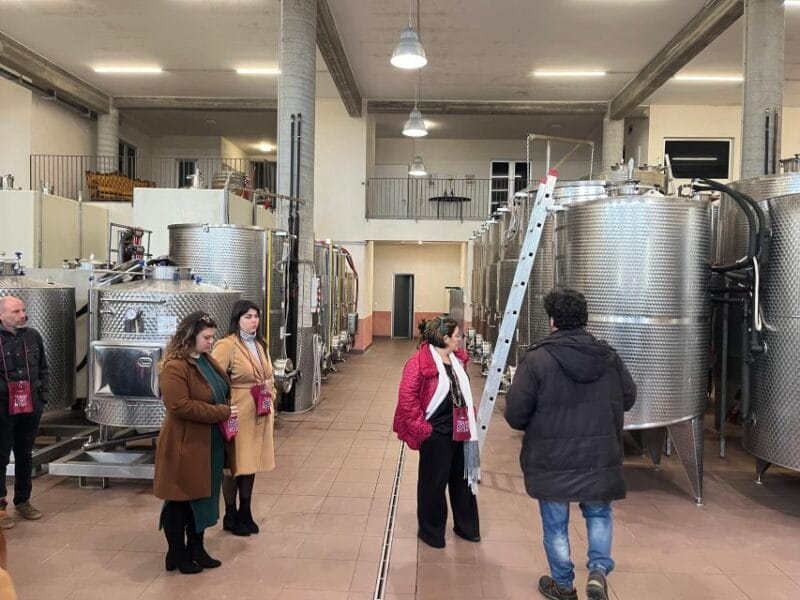 Wine Tasting in the South Slope of Etna - Discovering the Volcanic Flavors: A Review of the Etna Wine Tasting Tour