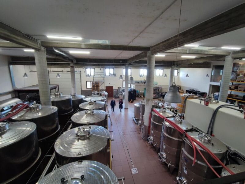 Wine Tasting in the South Slope of Etna - Key Points / Takeaways