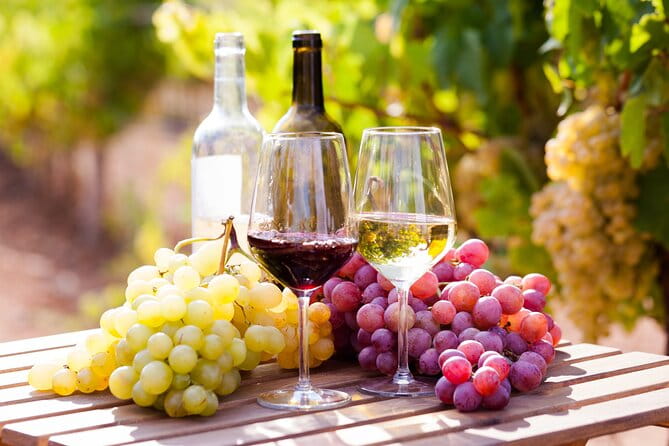 Wine tasting in the Vesuvius national park - Key points / Takeaways