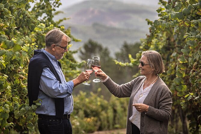 Wine Tasting & Lunch | Quinta de Santa Cristina Vinho Verde - Practical tips for making the most of your visit