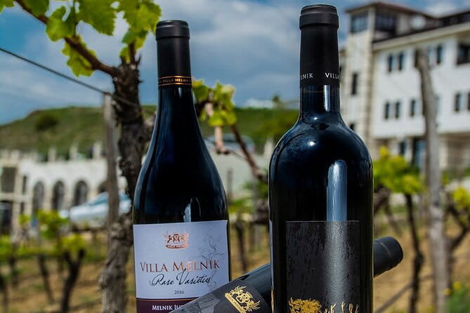 Wine Tasting & More in Villa Melnik  One of the Worlds Best Wineries - Who Will Love This Experience?