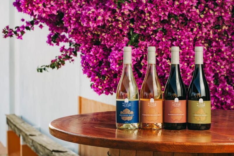 Wine Tasting Off-Road Tour - Considerations and Tips for Travelers