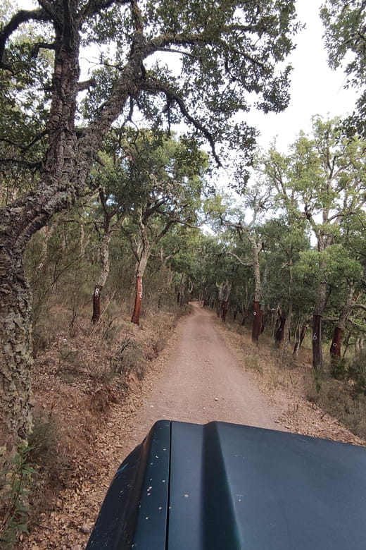 Wine Tasting Off-Road Tour - Who Should Book This Tour?