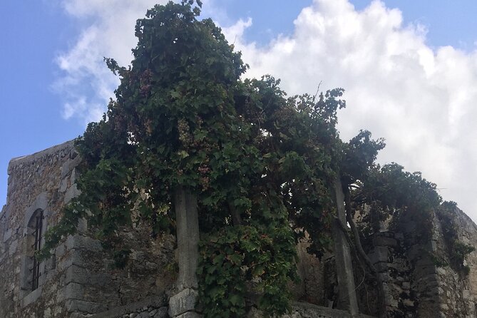 Wine Tasting-Olive Oil Factory-Traditional Villages- Small Group - Accessibility and Cancellation