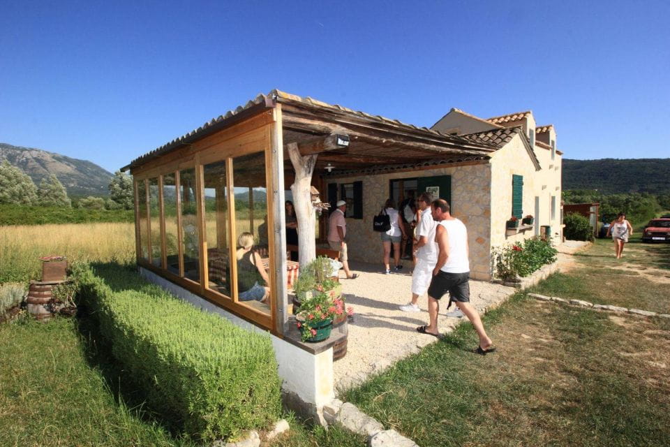 Wine Tasting on Peninsula PelješAc Wine Tour From Dubrovnik - Inclusions