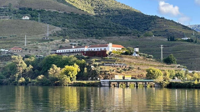 Wine Tasting QT textures of Rosé - Sunset vibe - Who Will Love This Experience?