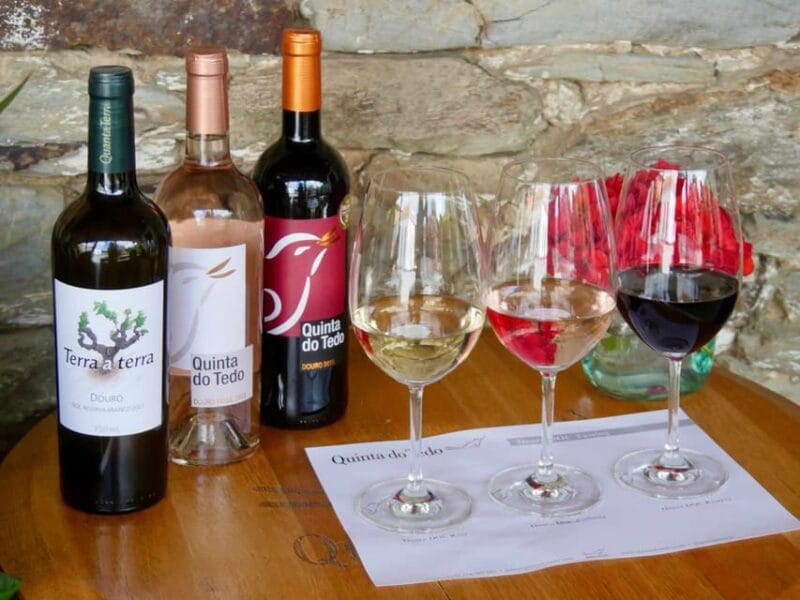 Wine Tasting QT textures of Rosé - Sunset vibe - Price and Logistics