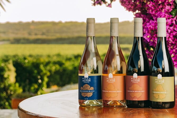 Wine Tasting & Tapas 4x4 Tours - Key points / Takeaways