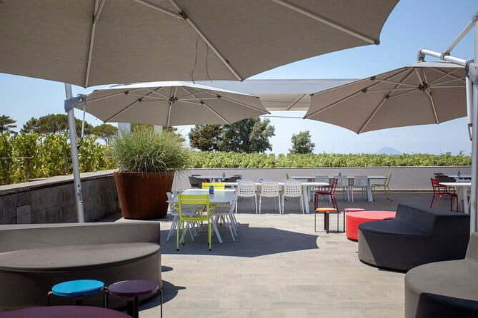 Wine tasting THE CLASSICS - Exploring the Full Experience