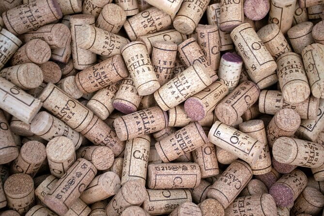 Wine tasting THE CLASSICS - Who Will Love This Tour?