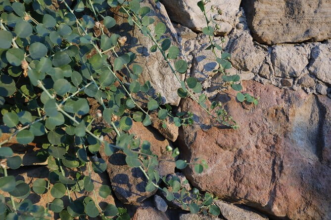 Wine tasting THE CLASSICS - FAQs