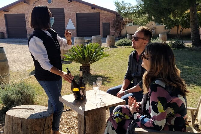 Wine tasting tour - FAQ: Practical Questions about the Valencia Wine Tasting Tour