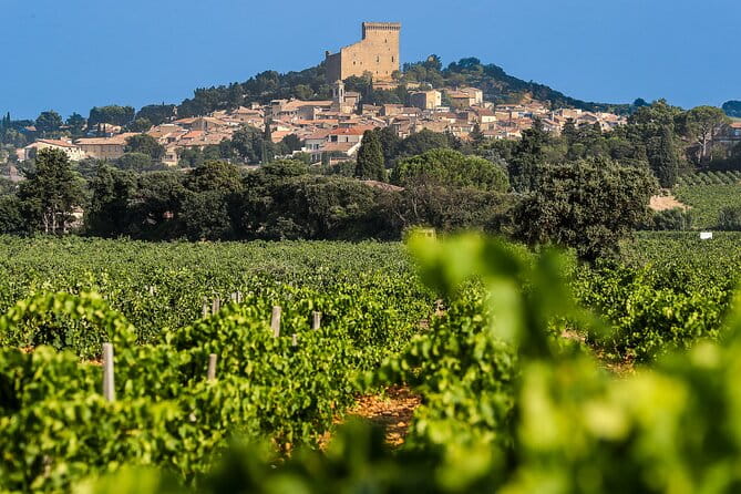 Wine Tasting Tour at Châteauneuf du Pape - Key Points