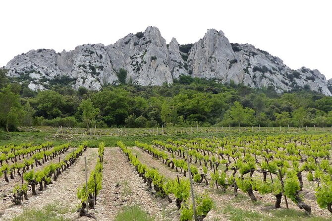 Wine Tasting Tour at Châteauneuf du Pape - Frequently Asked Questions