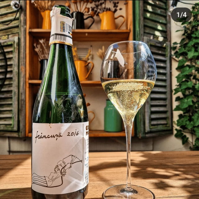 Wine tasting tour - Bucharest - Who Should Book This?