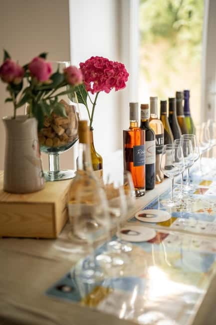 Wine Tasting: Tour de France in City Center of Nice - Who Should Book This?