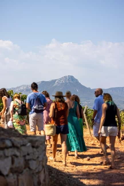 Wine tasting tour - Le Pradet - Key Points / Takeaways