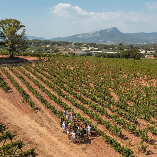 Wine tasting tour - Le Pradet - A Closer Look at the Experience: What to Expect During the Tour