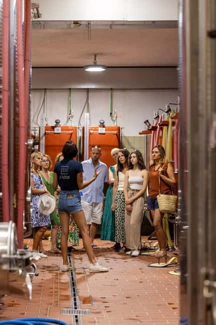 Wine tasting tour - Le Pradet - Price and Logistics: How It Fits into Your Provence Visit