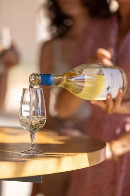 Wine tasting tour - Le Pradet - FAQ: Practical Questions About the Tour