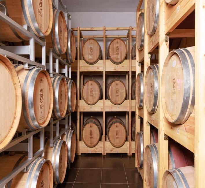 Wine tasting tour, Optional wine yard tour and kayak rides - Exploring a Scenic Albanian Vineyard