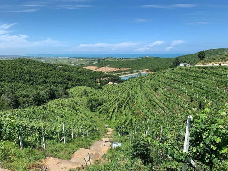 Wine tasting tour, Optional wine yard tour and kayak rides - FAQ