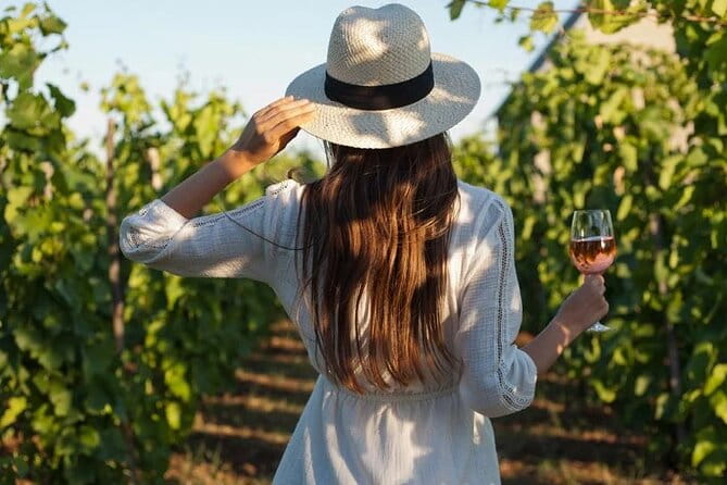 Wine Tasting & Vineyards Escape near Tirana - Exploring Albania’s Vineyards: A Wine Tasting & Vineyard Escape Near Tirana