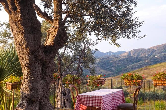 Wine Tasting & Vineyards Escape near Tirana - The Sum Up