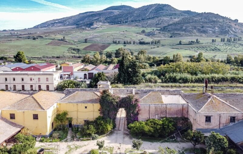 Wine Tasting whit Painting Lesson in Baglio Florio - Unleashing Creativity: The Painting Lesson