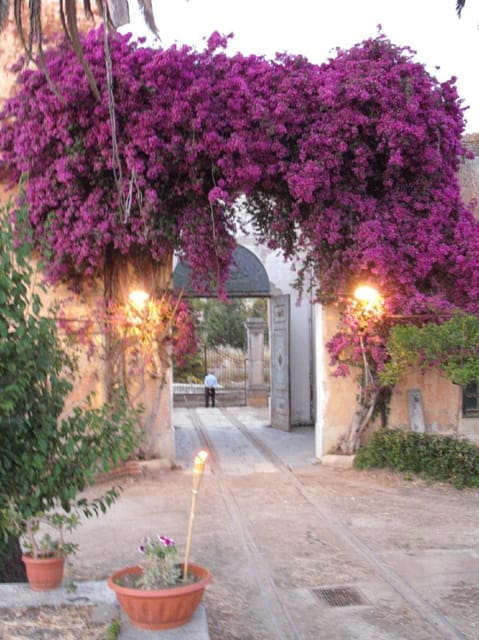 Wine Tasting whit Painting Lesson in Baglio Florio - Who Will Love This Tour?