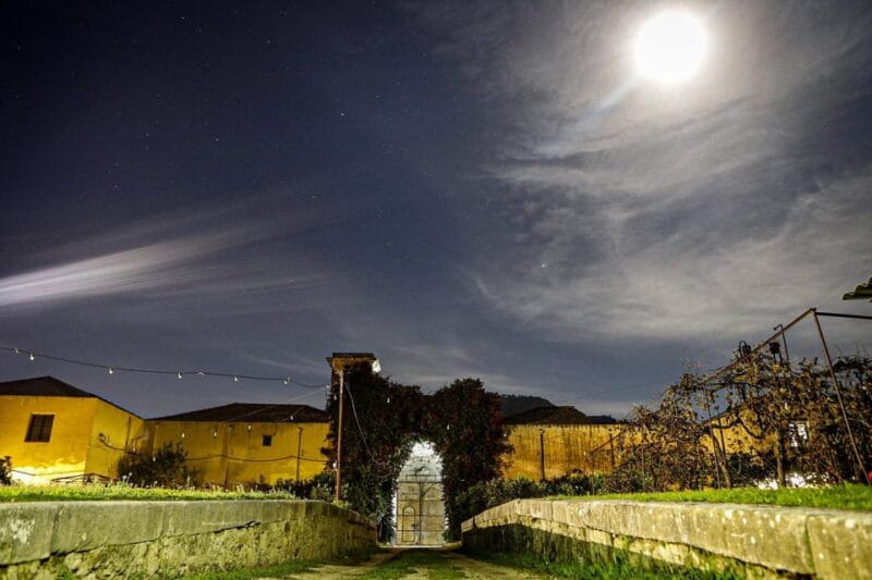 Wine Tasting whit Painting Lesson in Baglio Florio - Price and Value