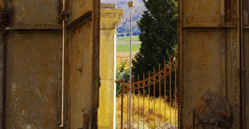 Wine Tasting whit Painting Lesson in Baglio Florio - Final Thoughts: Who Is This Experience Best For?