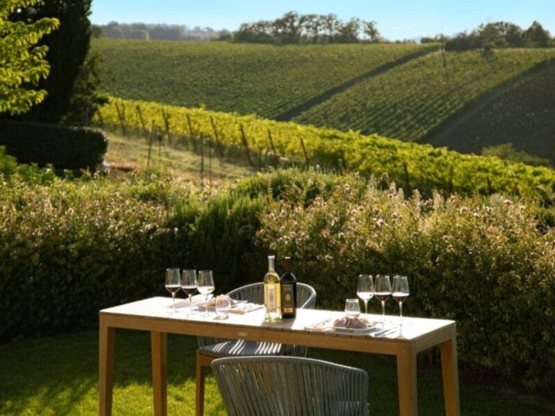 Wine Tasting with Food Pairing near Bologna - Discovering Emilia-Romagna’s Hidden Wine Gem