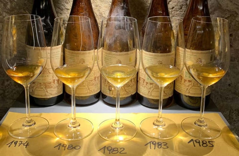 Wine Tasting with Local Bites in Pisa near the Tower - Price and Value: What’s the Cost for a Genuine Taste of Tuscany?