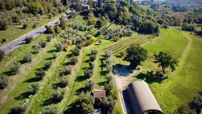 Wine Tasting with Local Food near Montepulciano - Key Points / Takeaways