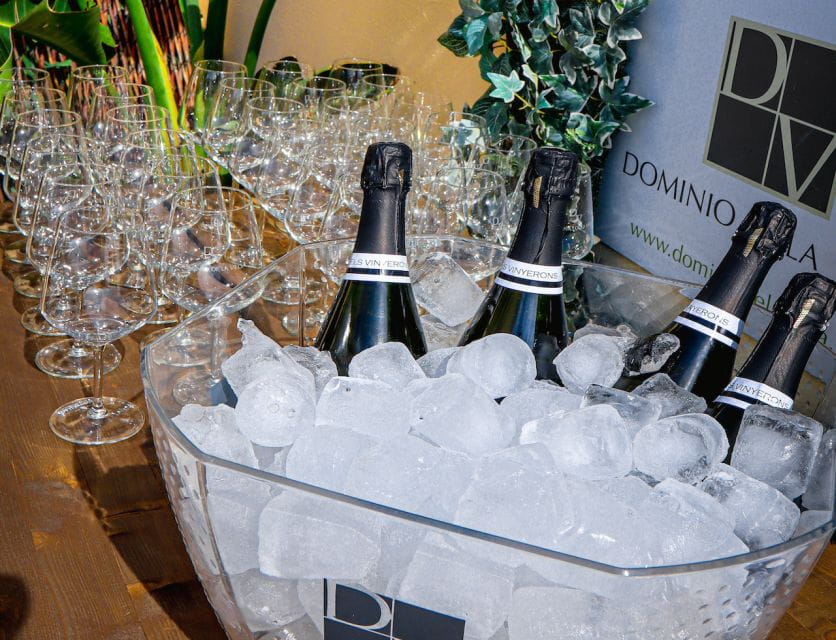 Wine Tasting With Professional Sommelier in Centre Valencia - Tasting Details