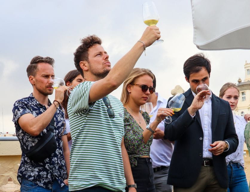 Wine Tasting With Professional Sommelier in Centre Valencia - Experience Highlights