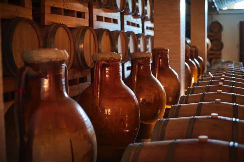 Wine Tour and Dinner: Puglia at the table - Final Thoughts