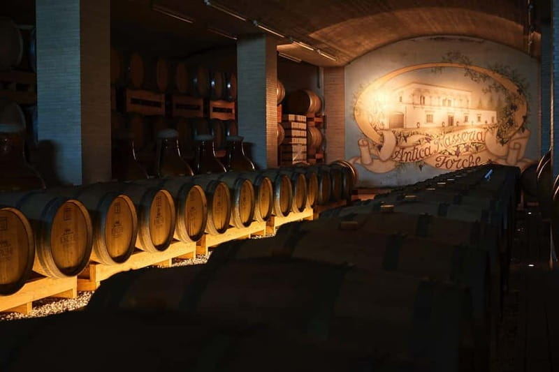 Wine Tour and Dinner: Puglia at the table - FAQ