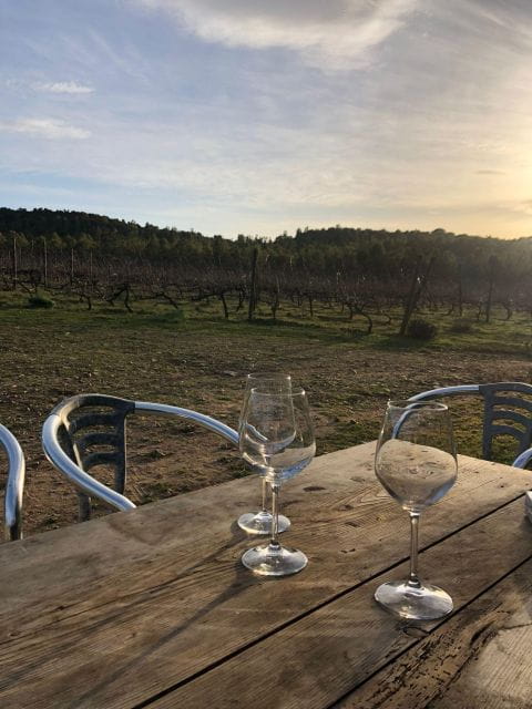 Wine tour and lunch or dinner at our vineyard - Key points/Takeaways