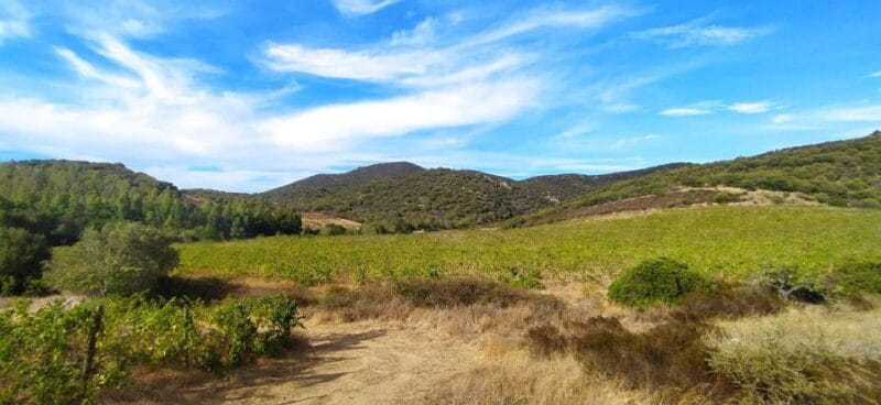 Wine tour and lunch or dinner at our vineyard - Who Will Love This Experience?