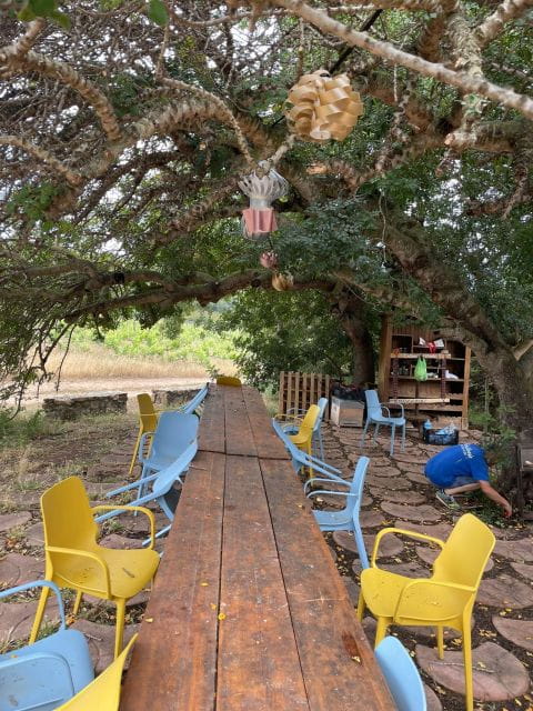 Wine tour and lunch or dinner at our vineyard - FAQ