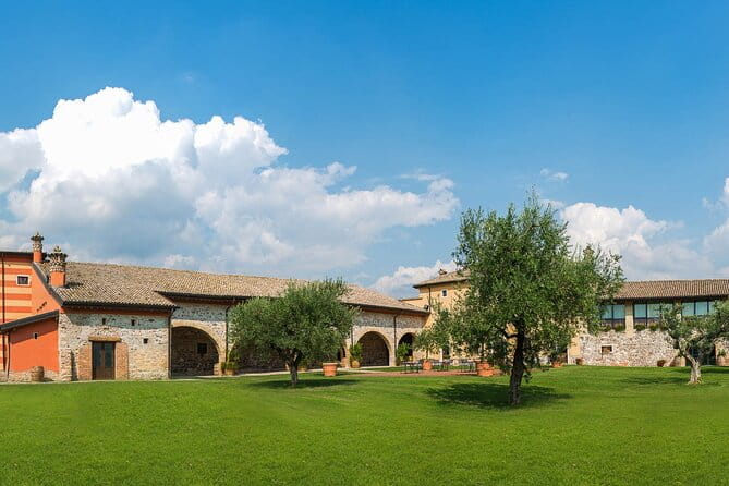 Wine Tour and Tasting on Garda Hills - Introduction: A Taste of Veneto’s Vineyard Charm