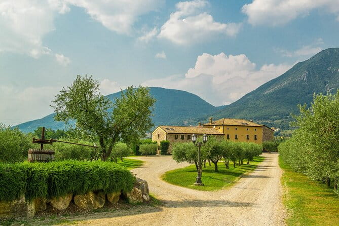 Wine Tour and Tasting on Garda Hills - Key points / Takeaways