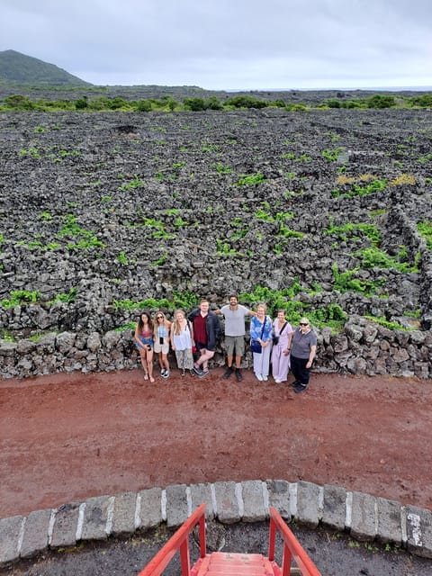 Wine Tour and Tasting with a local Winemaker at Pico Island - Key Points / Takeaways