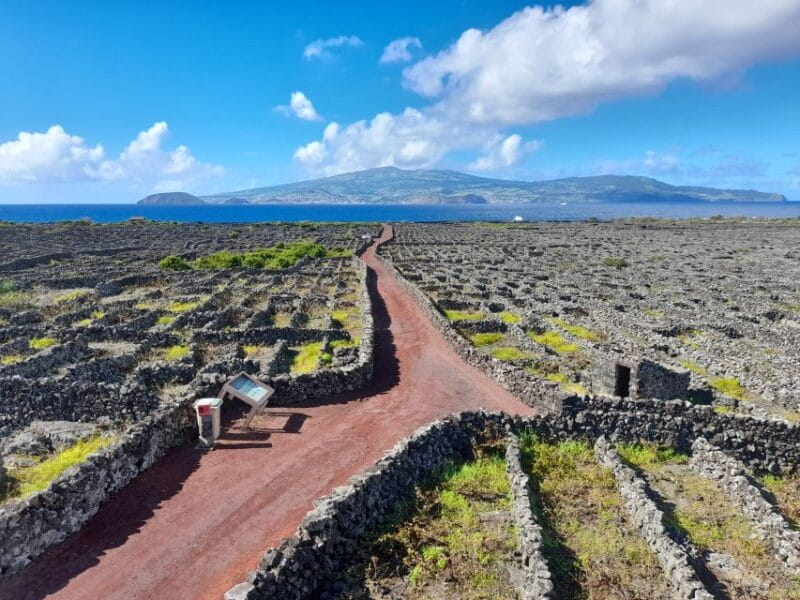 Wine Tour and Tasting with a local Winemaker at Pico Island - The Scenic and Cultural Highlights of the Pico Wine Tour