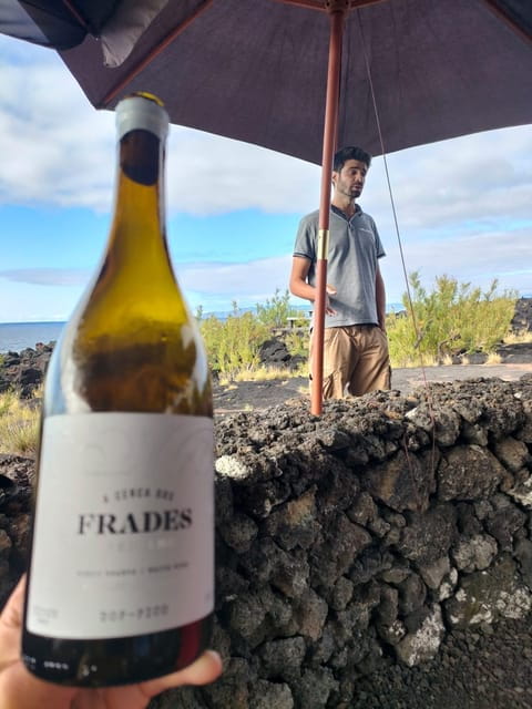 Wine Tour and Tasting with a local Winemaker at Pico Island - Who Will Love This Tour?