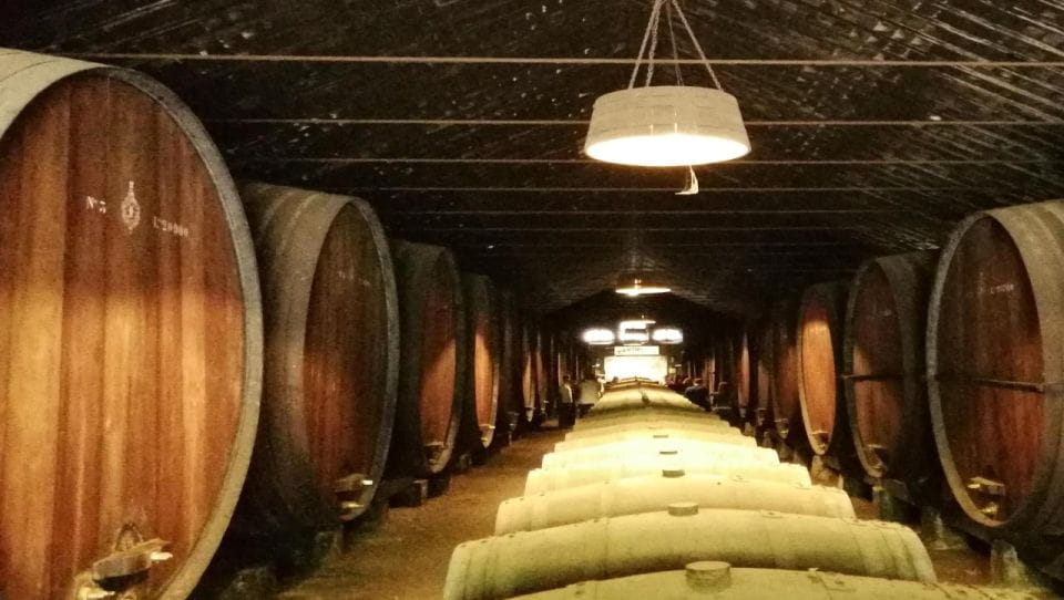 Wine Tour and Traditional Portuguese Tiles in Half Day Tour - Culinary Delights and Free Time